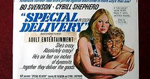 Special Delivery (1976) 1080p Cybill Shepherd, Bo Svenson