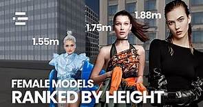 Female Models Height Comparison 3D