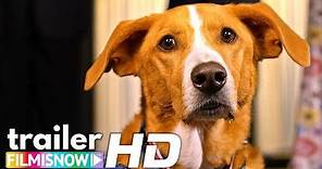 AGENT TOBY BARKS Trailer 🐕 | Family Adventure Dog Movie