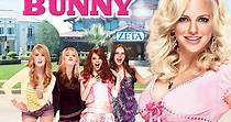 The House Bunny - movie: watch streaming online