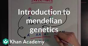 An Introduction to Mendelian Genetics | Biomolecules | MCAT | Khan Academy