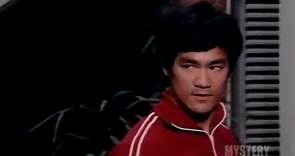 Bruce Lee - Way Of The Intercepting Fist and The Art Of Dying - video Dailymotion