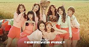 PINK FUN《FOREVER PINK》Official Music Video