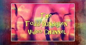 Something Anything but Everything Todd Rundgren
