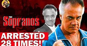 The Sopranos: Tony Sirico's Shocking Mafia Past!