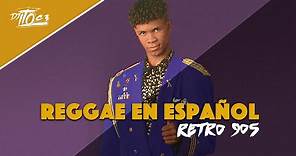 REGGAE EN ESPAÑOL 90s Mix (Panama) / LOS INICIOS DE EL REGGAETON (El General, Nando Boom, Renato)