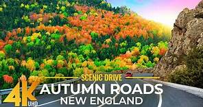 The Beauty of Fall Colors along the Roads of New England (Connecticut) - 4K Scenic Autumn Drive