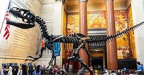 New York City Walking Tour (American Museum of Natural History) 2021