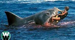 10 DEADLIEST Shark Attack Stories