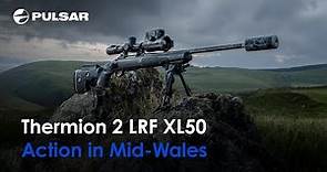 Foxing in Wales: the story of a local hunter | Pulsar Thermion 2 LRF XL50