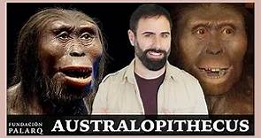 🔹 AUSTRALOPITHECUS | Las principales especies de homininos y etapas de la prehistoria