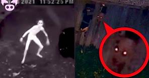 The Scariest Cryptid Videos Ever Captured