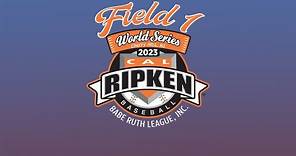 2023 8U Player Pitch Cal Ripken World Series - Semi Finals - Field 1