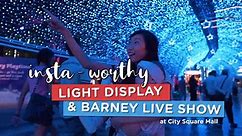 Insta-worthy Light Display & Barney Live Show