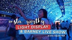Insta-worthy Light Display & Barney Live Show