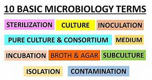 Basic Terms used in Microbiology | Class for Microbiology Freshers | Concepts in Microbiology |