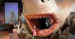 Florida Travel: Explore the Museum of Discovery and Science