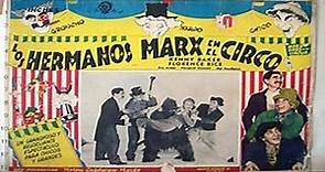 Una tarde en el circo (1939)