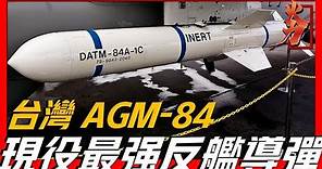 【AGM-84魚叉反艦導彈】台灣現役最強反艦導彈，裝備數量超過800枚，比雄風導彈的數量多出一倍！