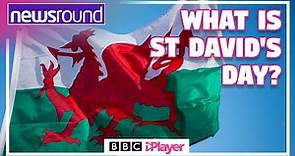 What is St. David's Day? 🏴󠁧󠁢󠁷󠁬󠁳󠁿 | Newsround