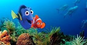 60 Finding Nemo Quotes on Family, Friendship, and Fun