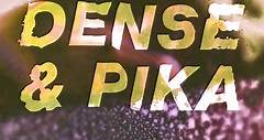 Dense & Pika feat. Leftfield - Control