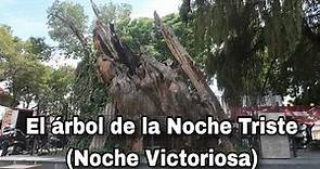 Este es el "árbol de la noche triste", aqui lloró Hernán Cortés su derrota