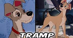 Tramp's Backstory: Was He Always A Street Dog? - Disney Explained
