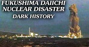 The Fukushima Nuclear Power Plant Disaster (Disaster Documentary)