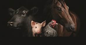 Wilco Livestock Production Specialist Contact Page - Wilco Farm Stores