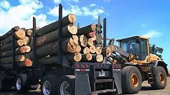The US Sawmill: How Hardwood Lumber is Made