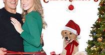 A Golden Christmas 3 - movie: watch streaming online