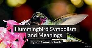 Hummingbird Meaning, Symbolism, and the Hummingbird Spirit Animal