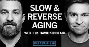 Dr. David Sinclair: The Biology of Slowing & Reversing Aging