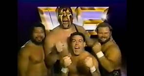 WWF SUPERSTARS OF WRESTLING 2-25-1989