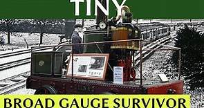 Tiny: Broad Gauge Survivor