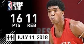 Chandler Hutchison Full Highlights Bulls vs Mavericks (2018.07.11) Summer League - 16 Pts, 11 Reb