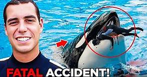 The TERRIFYING Last Minutes of Orca Trainer Alexis Martinez