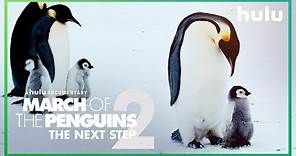 March of the Penguins 2: Trailer (Official) • A Hulu Original Documentary