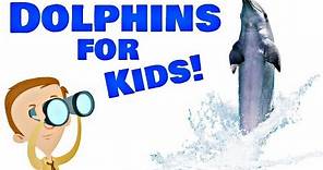 Dolphins for Kids