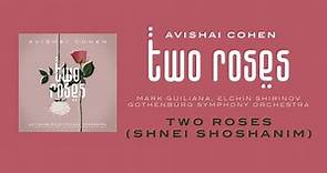 Avishai Cohen - Two Roses (w/ Mark Guiliana, Elchin Shirinov & Gothenburg Symphony Orchestra)
