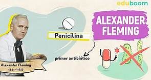 ¿Cómo descubrió Alexander Fleming la penicilina? :: Útil e interesante