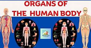 Parts & Organs of Human Body for Kids || Human Anatomy & Functions || Organ System (Middle Schooler)