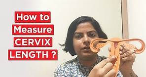 How to Measure Your Cervix Length and Why (for Menstrual Cup)? #cervix #womenshealth