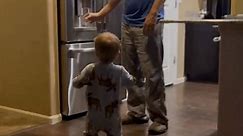 Toddler Fascinated by Refrigerator's Built-in Water Dispenser
