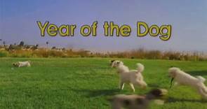 Year Of The Dog_Movie _Trailer_|NETFLIX|