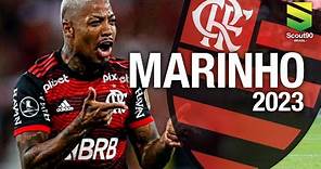 Marinho 2023 - Insane Skills, Passes & Gols - Flamengo | HD