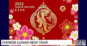 How to Celebrate the Chinese Lunar New Year