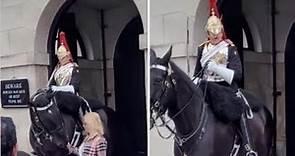 Londra, la turista tocca le redini del cavallo e la guardia della Regina le urla contro furiosa