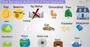 Structure | What is a Structure? | Natural & man made structures | Types & Examples | Science